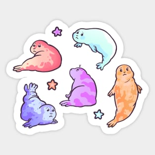 Seal Collection (2) Sticker